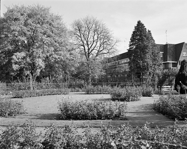 855089 Gezicht in het Rosarium Oudwijk te Utrecht, met op de achtergrond de Stolberglaan.